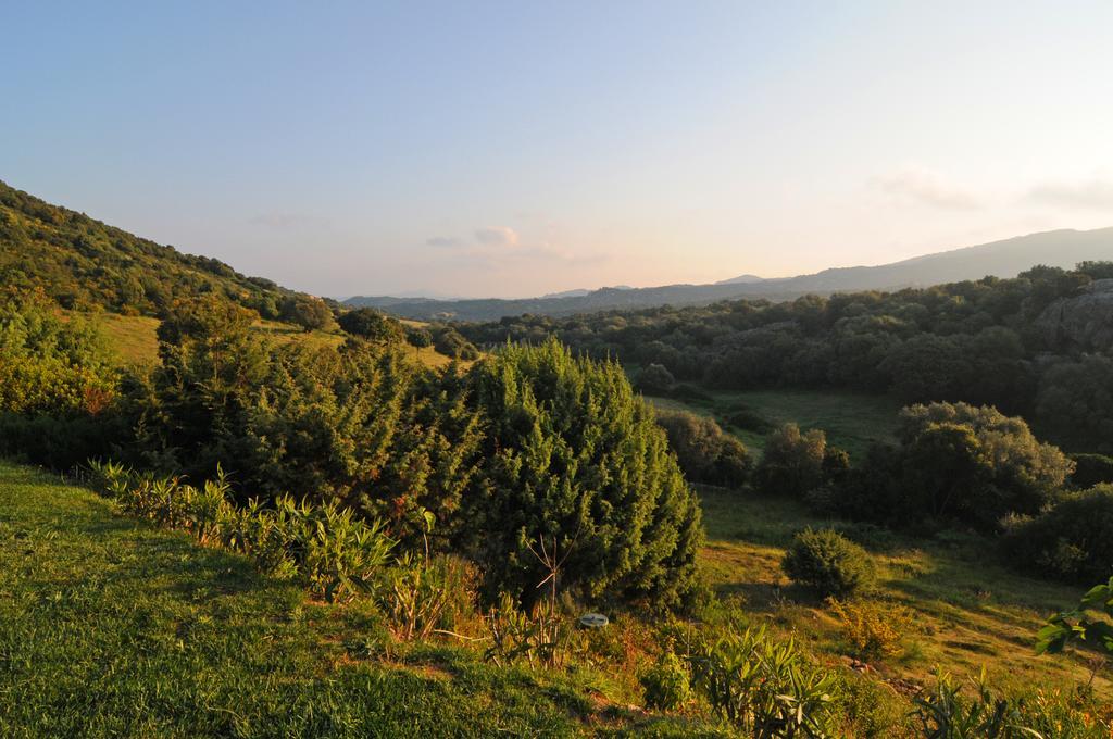 B&B La Murichessa Arzachena Esterno foto